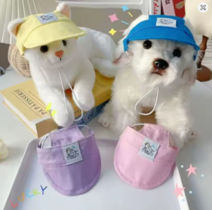 Summer Winning Products